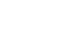 White butterfly icon