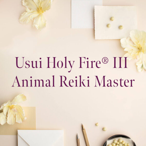 Animal Reiki Master Class image